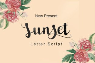 A Designer's Guide to Sunset Script