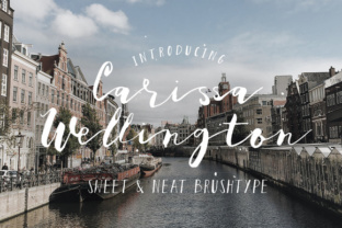 Adding Personality to Your Brand with the Carissa Wellington Font