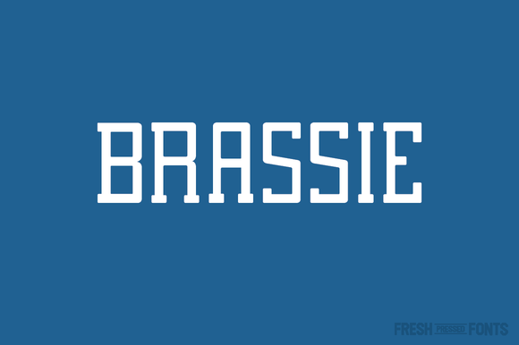 Brassie Family: A Versatile Slab Serif Font for Crafters and Makers