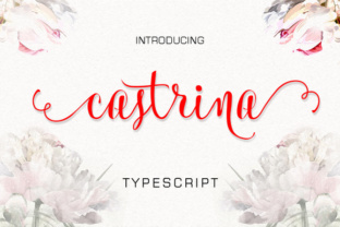 Castrina: A Handwritten Script Font for Creative Product Design