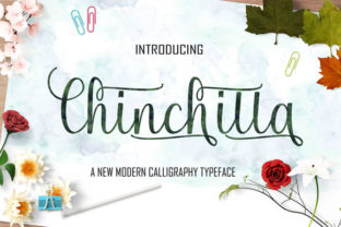 Chinchilla: A Smooth Luxury Font for Your Craft Business