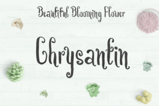 Chrysantin: A Playful Brush Font for Creative Projects