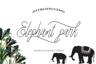 Elephant Park: The Elegant Font for a Trusted Small Business Brand