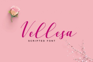 Exploring Vellesa Script as an Editorial Display Font