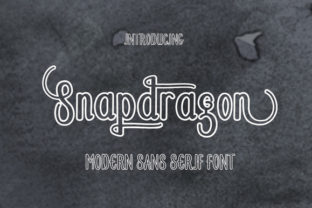Snapdragon: A Professional Sans Serif Font Duo for Modern Web Design
